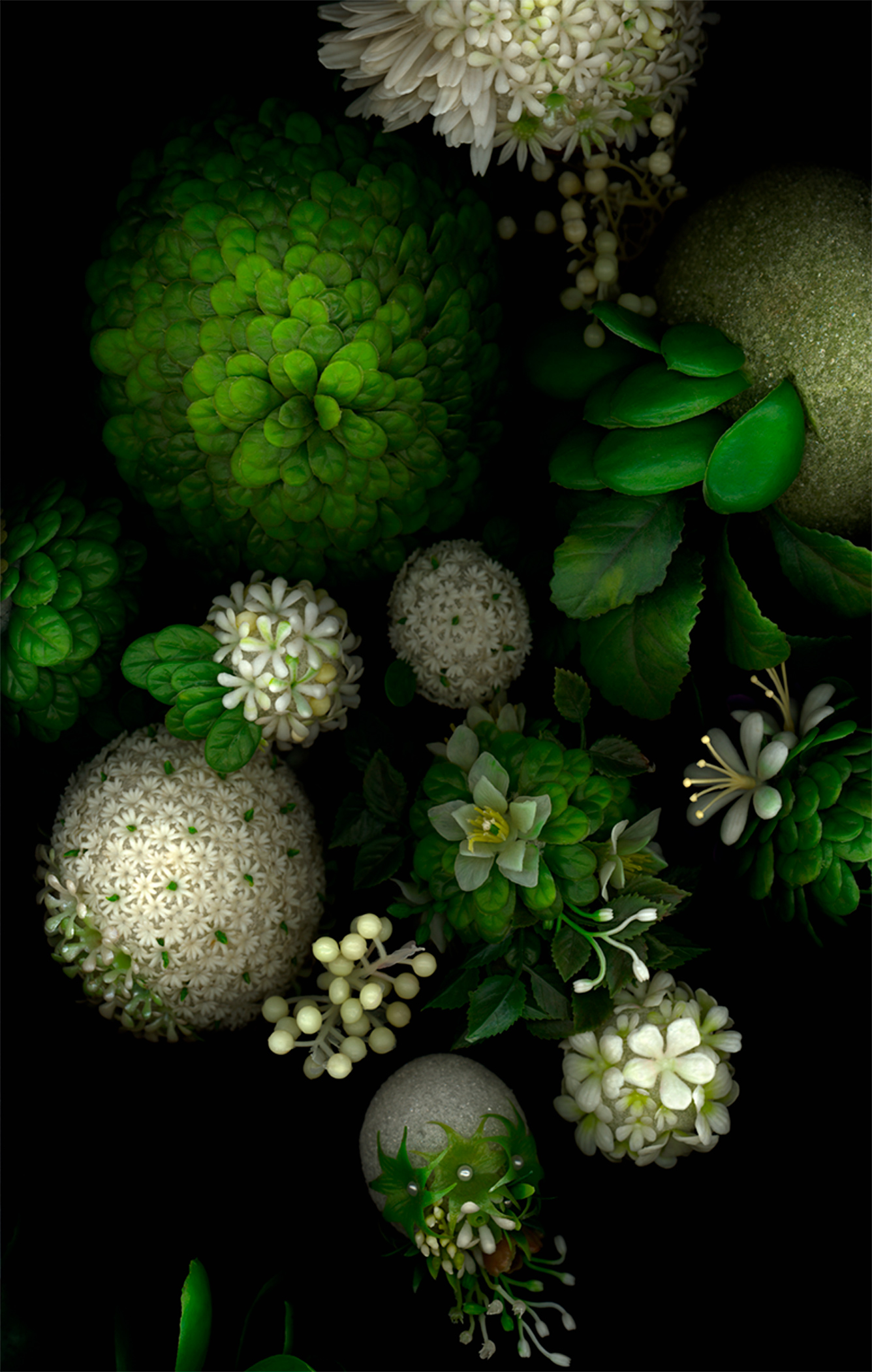 greens, bioposy #2, digital c print, 2007, 42" x 67"