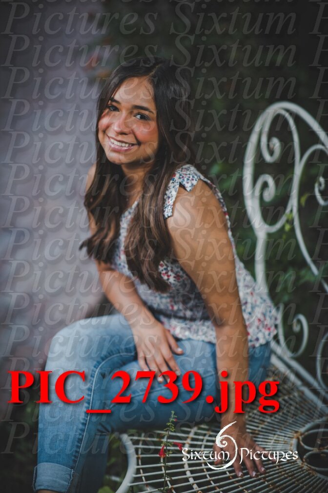 PIC_2739.jpeg