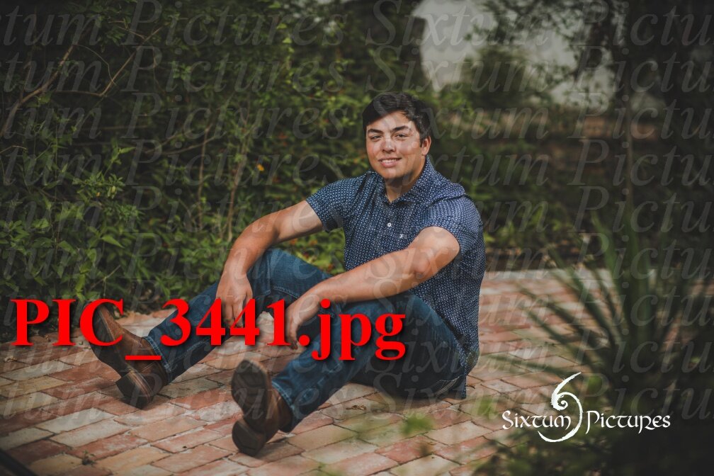 PIC_3441.jpeg
