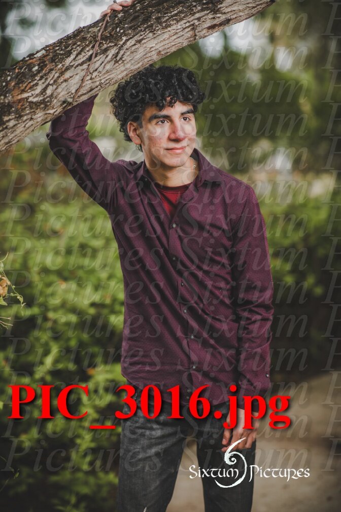 PIC_3016.jpeg