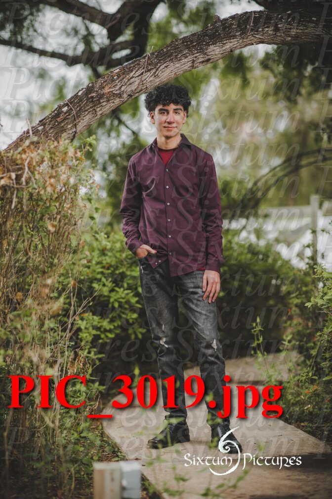 PIC_3019.jpeg