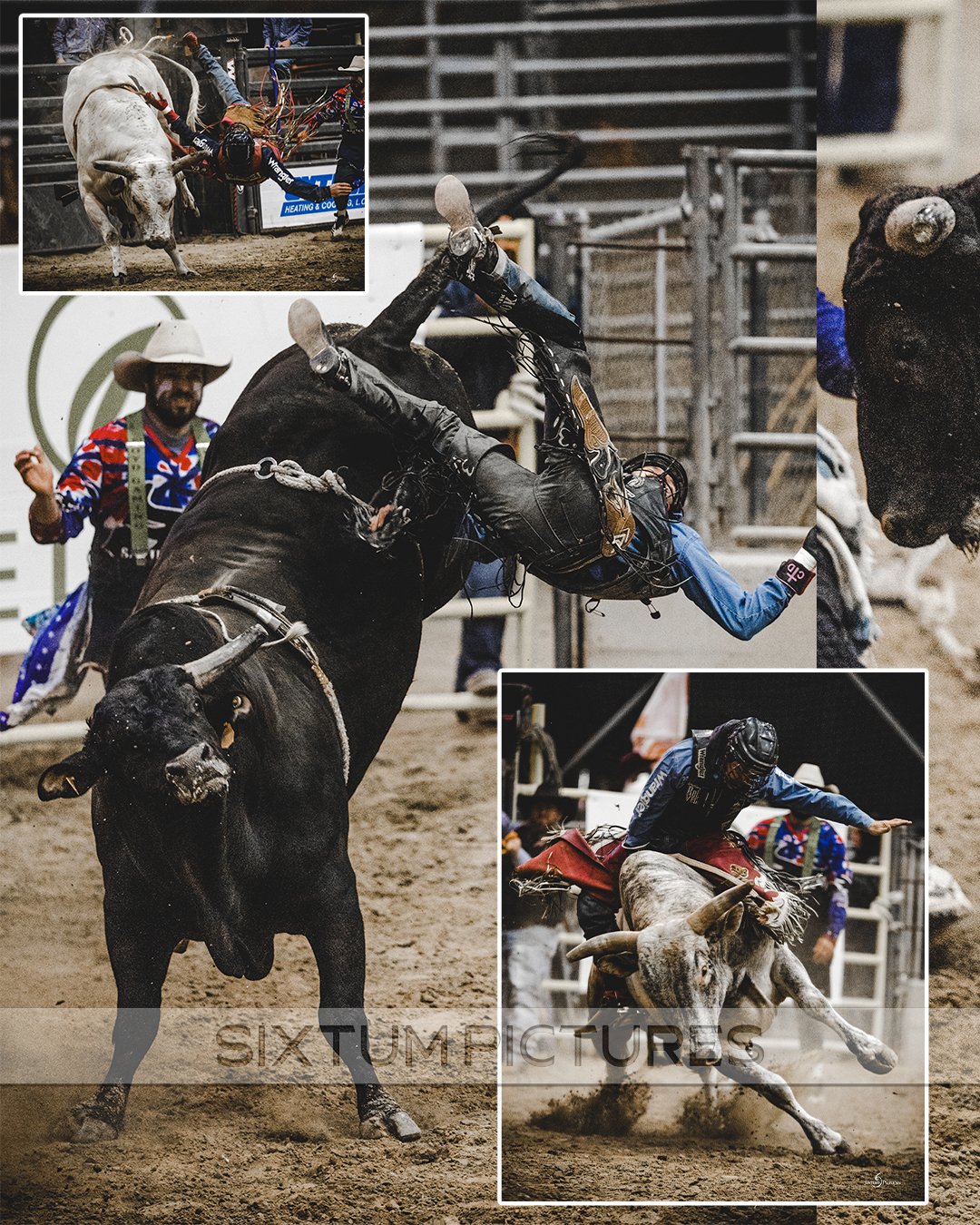 rodeo-bull_01.jpg