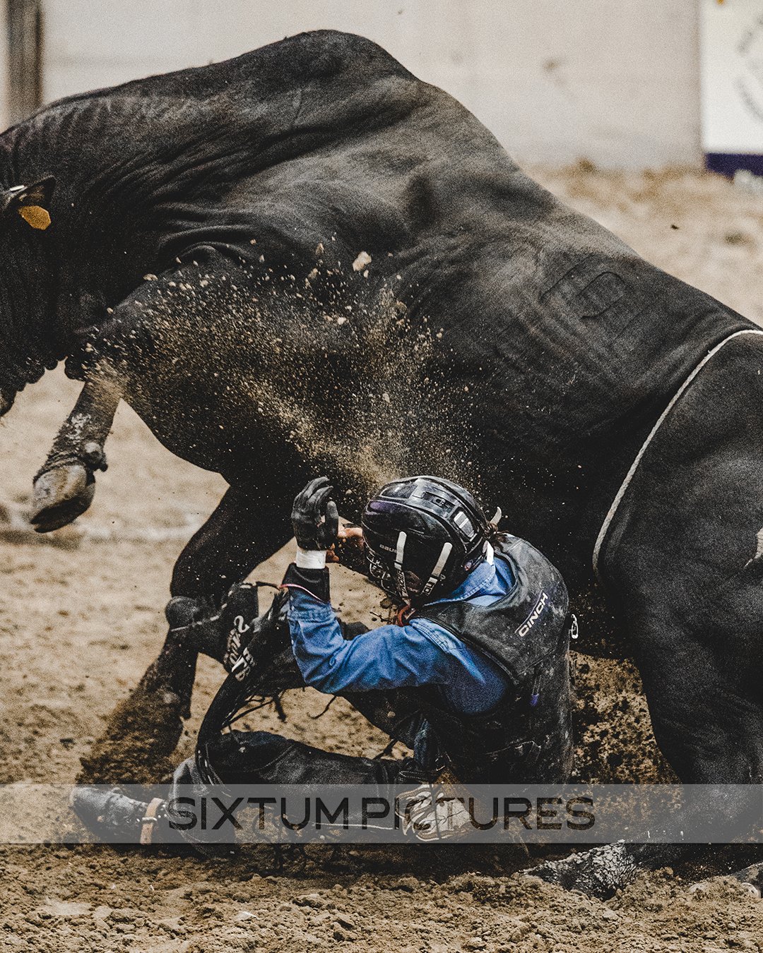 rodeo-bull_02.jpg