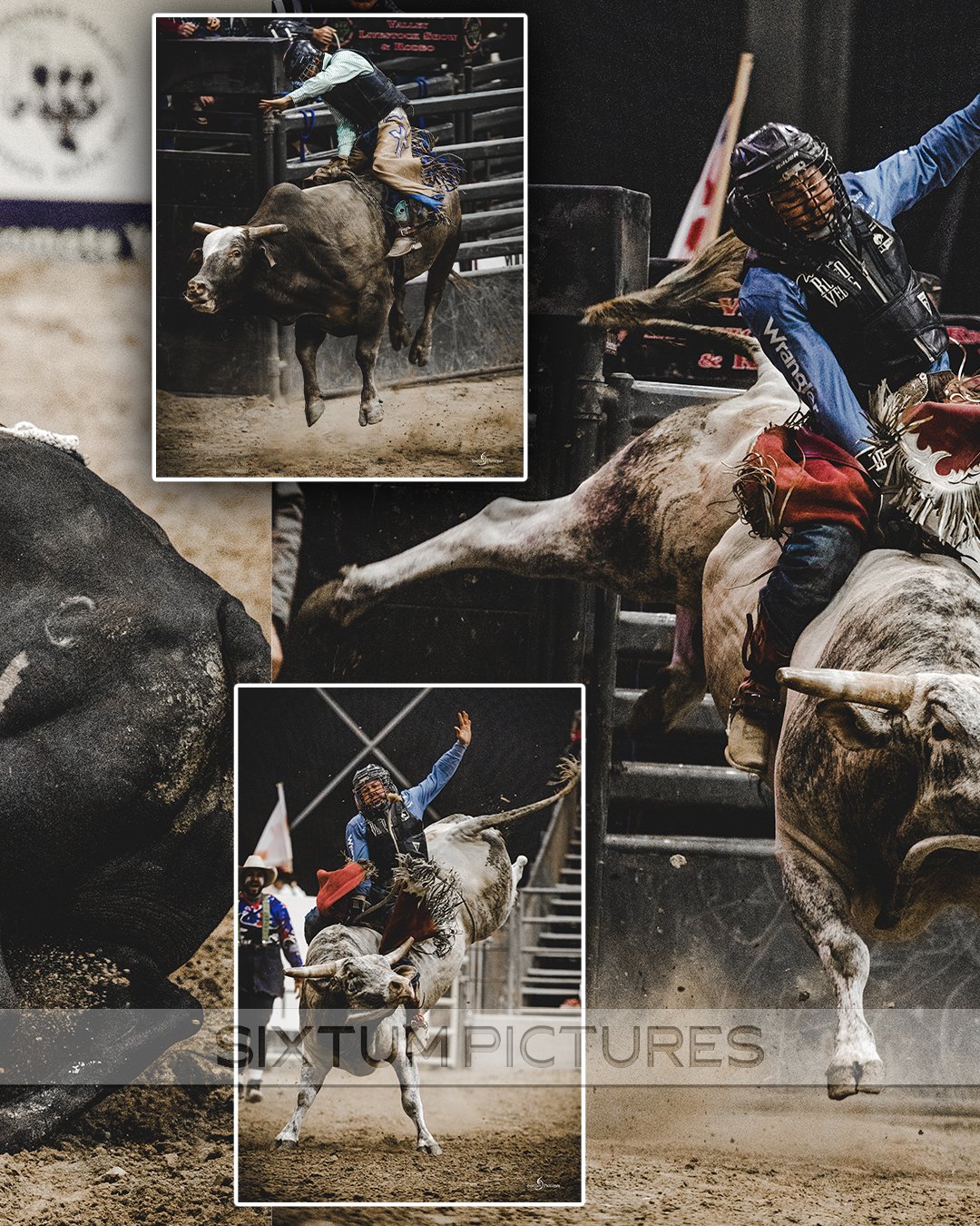 rodeo-bull_03.jpg