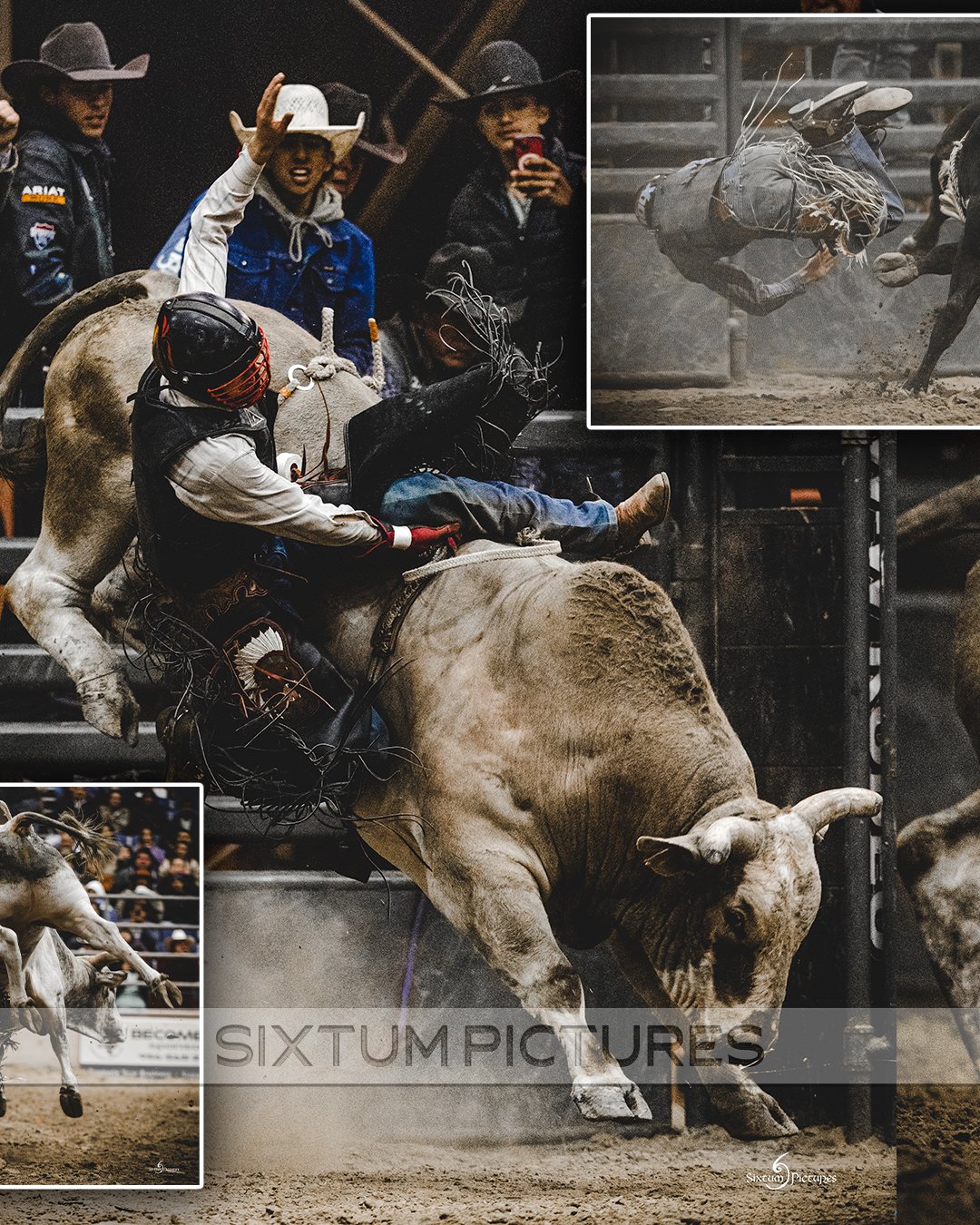rodeo-bull_05.jpg