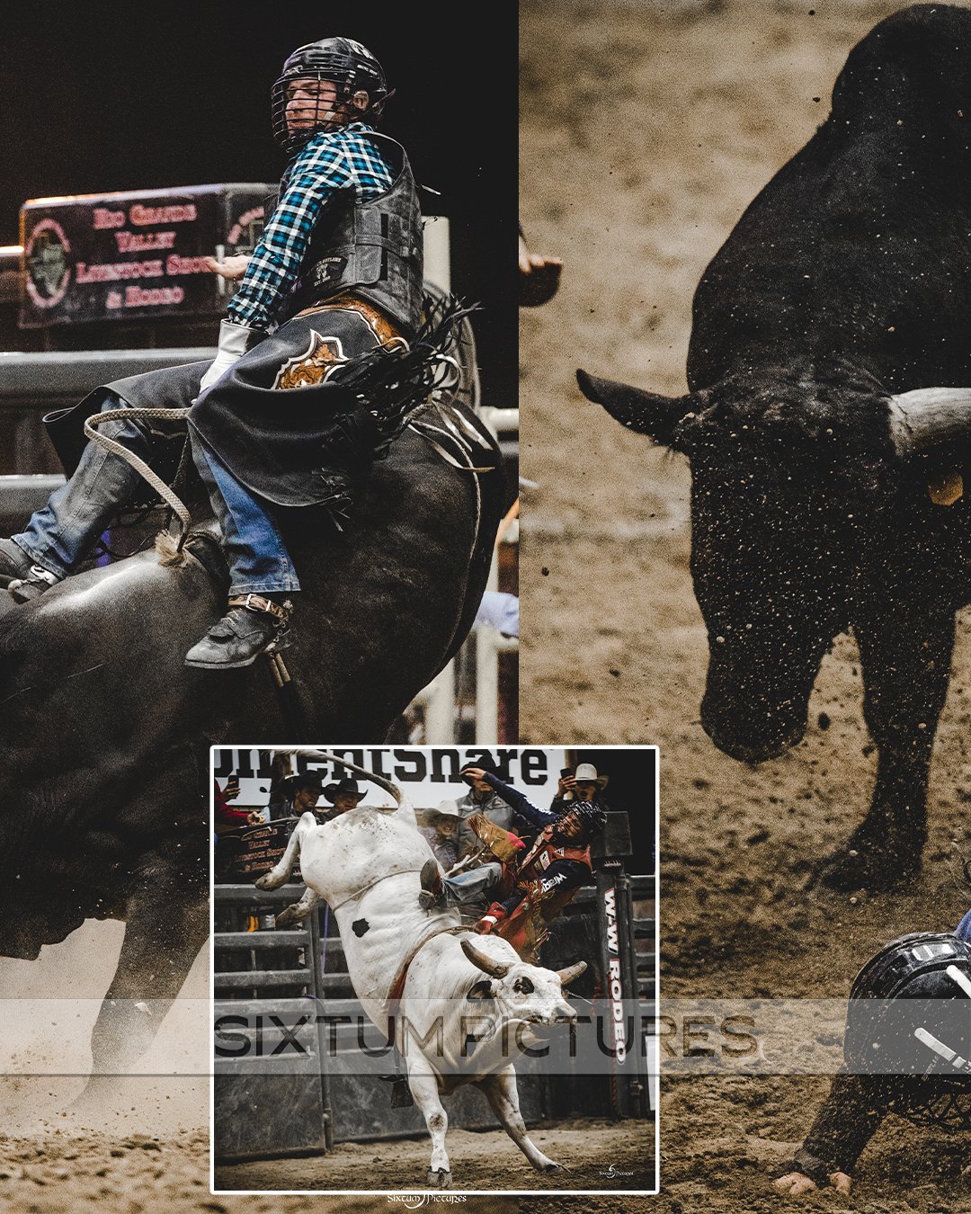 rodeo-bull_08.jpg