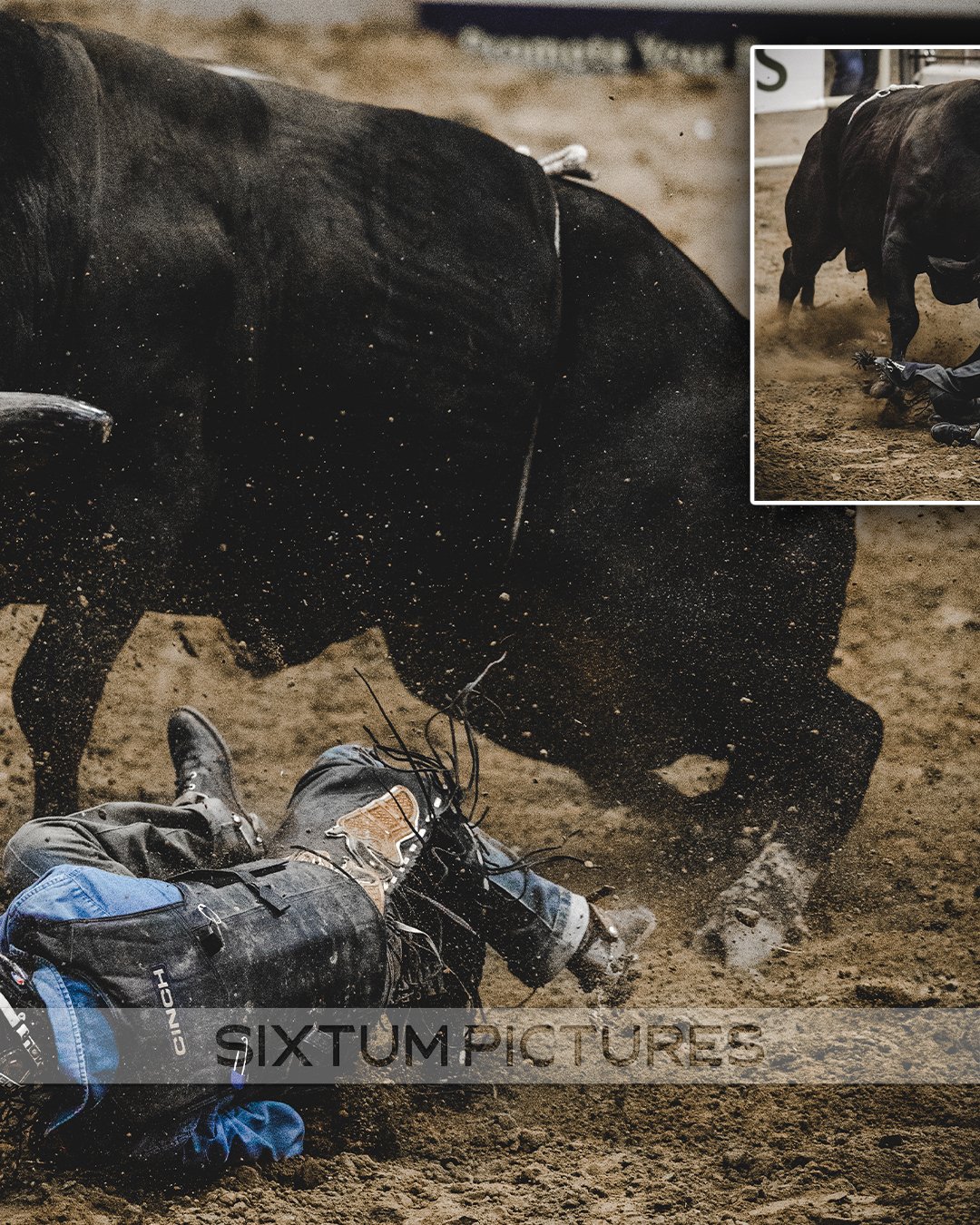 rodeo-bull_09.jpg