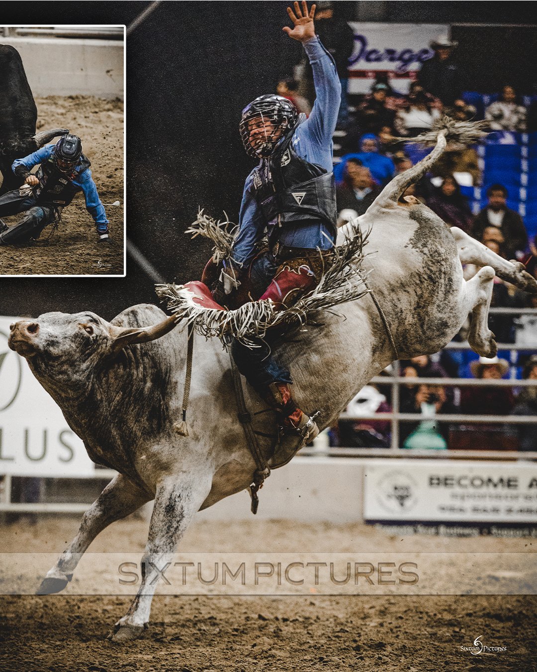 rodeo-bull_10.jpg