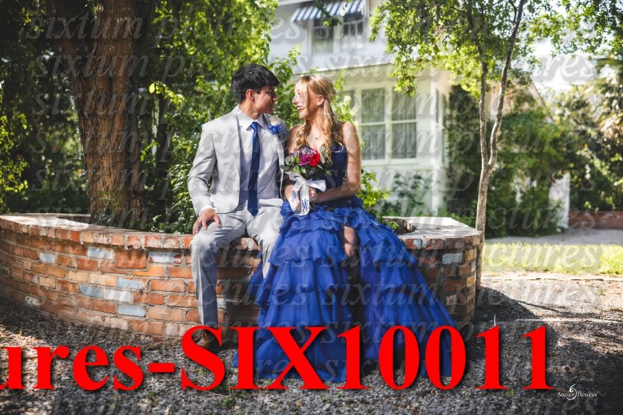 Sixtum Pictures-SIX10011.jpeg