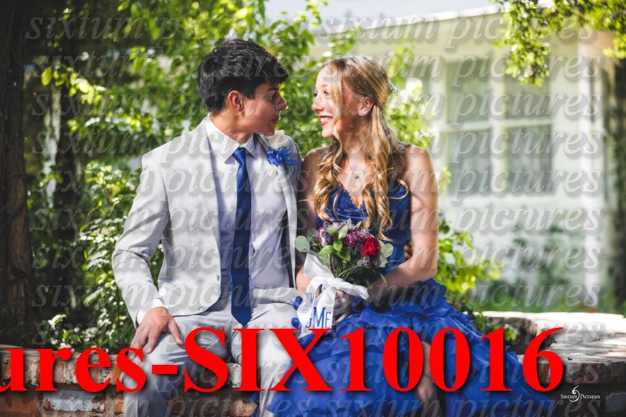 Sixtum Pictures-SIX10016.jpeg