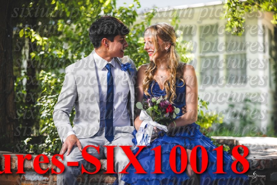 Sixtum Pictures-SIX10018.jpeg