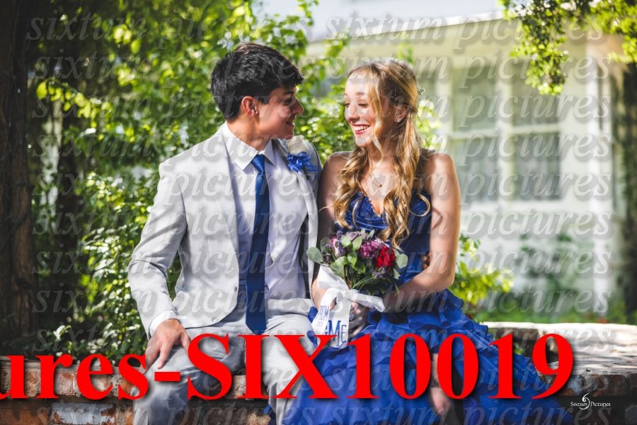 Sixtum Pictures-SIX10019.jpeg