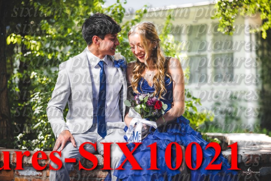 Sixtum Pictures-SIX10021.jpeg