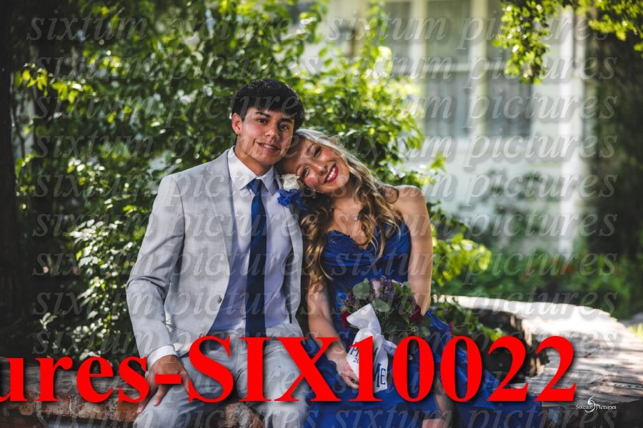 Sixtum Pictures-SIX10022.jpeg