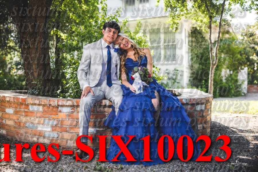 Sixtum Pictures-SIX10023.jpeg