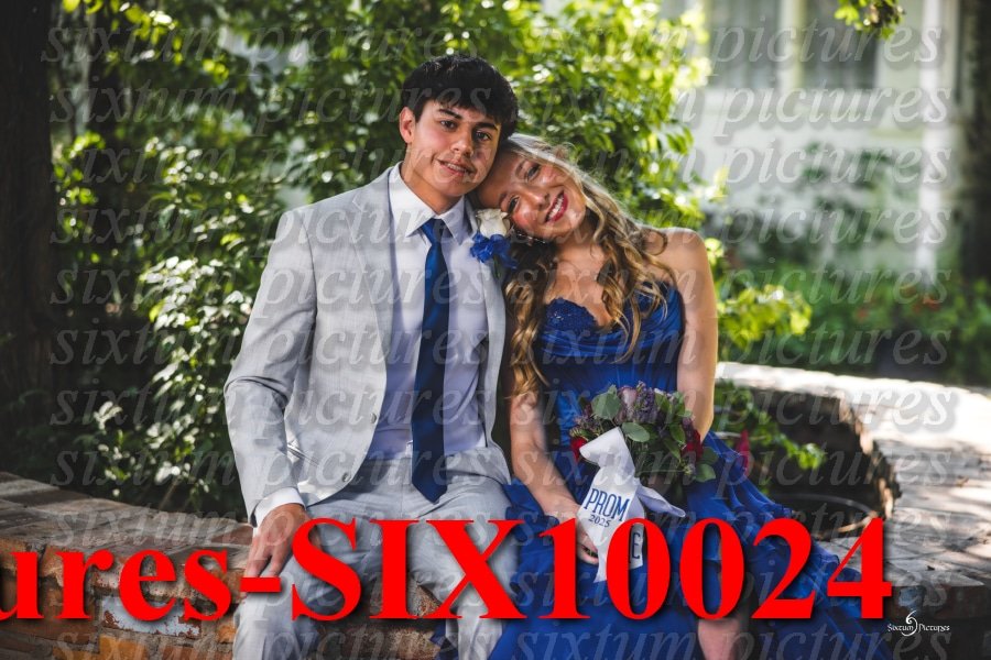 Sixtum Pictures-SIX10024.jpeg
