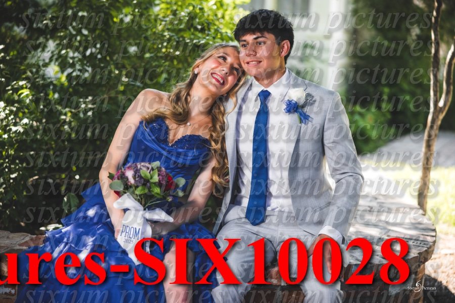 Sixtum Pictures-SIX10028.jpeg