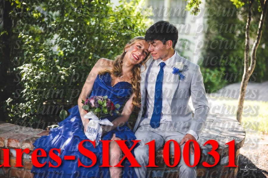 Sixtum Pictures-SIX10031.jpeg