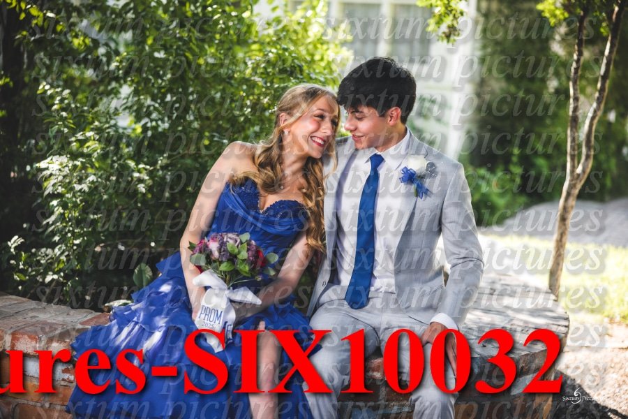 Sixtum Pictures-SIX10032.jpeg