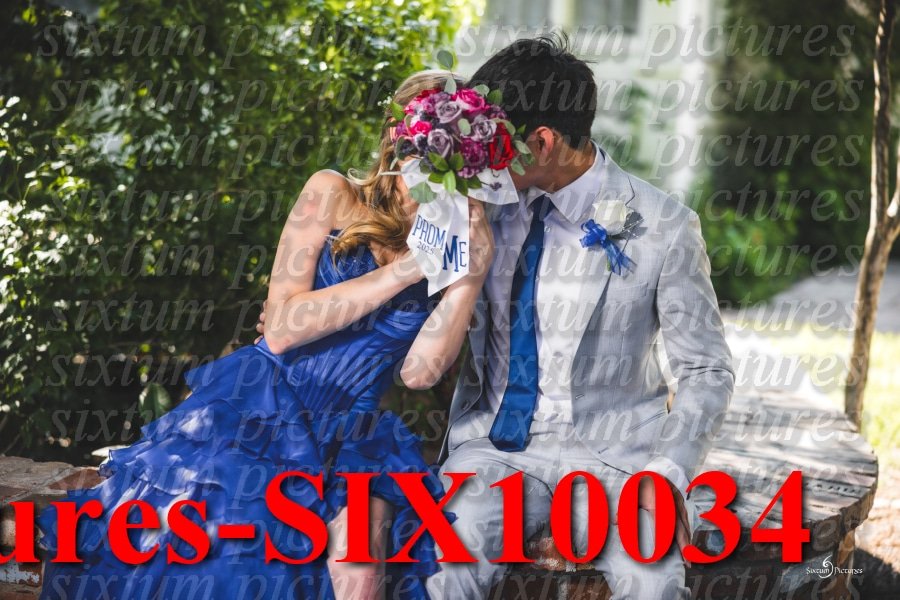 Sixtum Pictures-SIX10034.jpeg