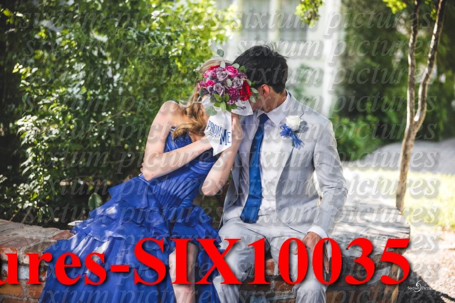 Sixtum Pictures-SIX10035.jpeg