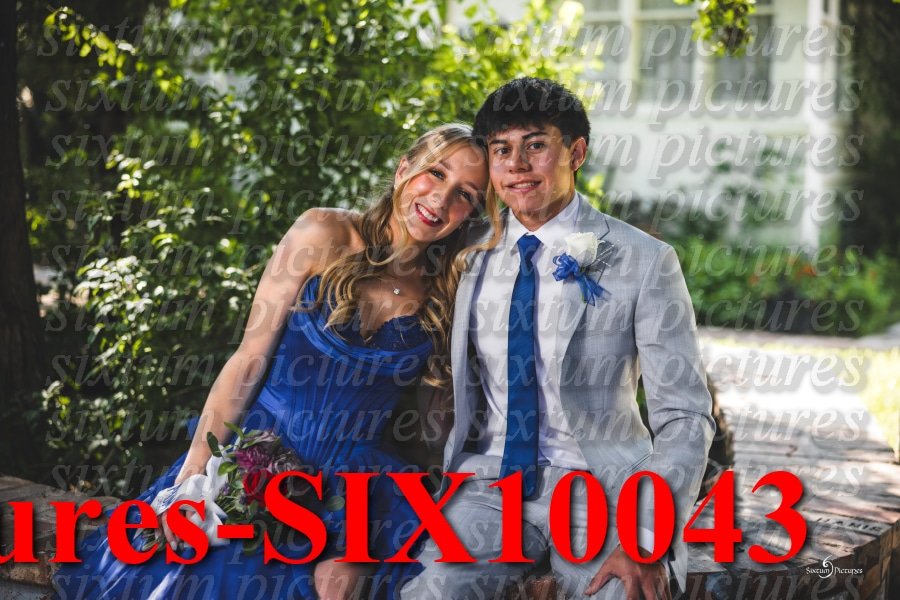 Sixtum Pictures-SIX10043.jpeg