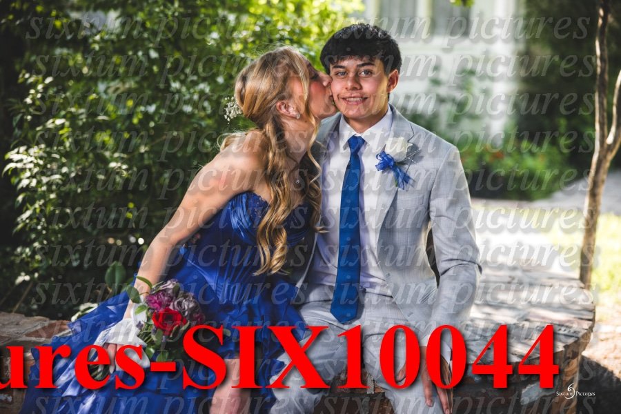 Sixtum Pictures-SIX10044.jpeg