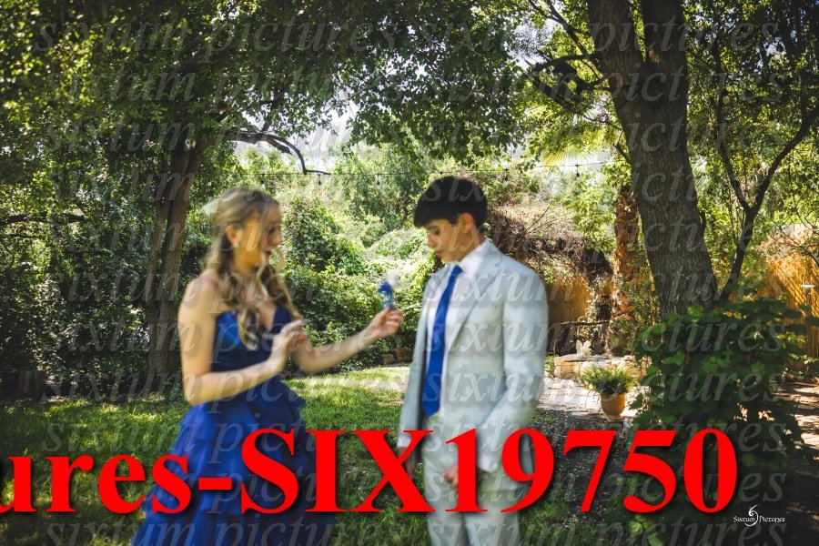 Sixtum Pictures-SIX19750.jpeg