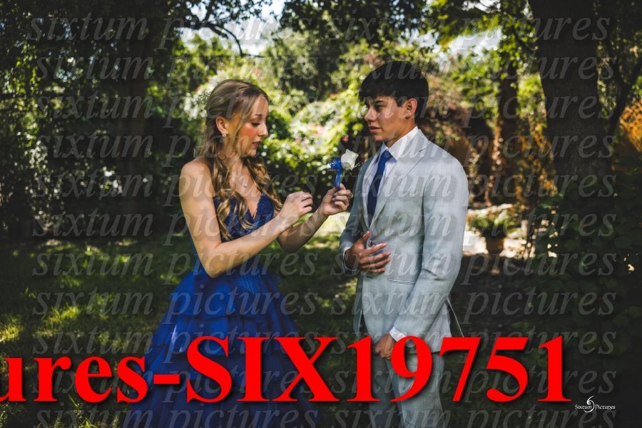 Sixtum Pictures-SIX19751.jpeg