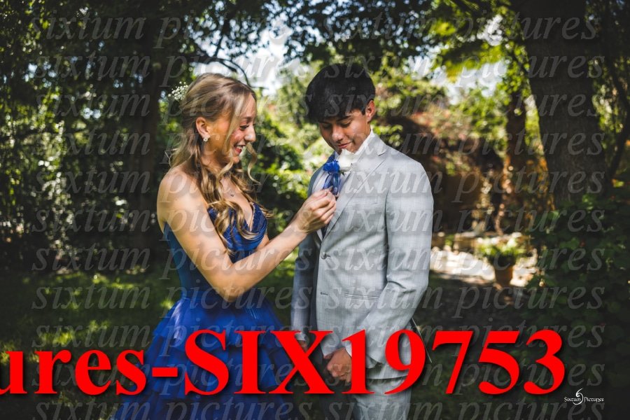Sixtum Pictures-SIX19753.jpeg