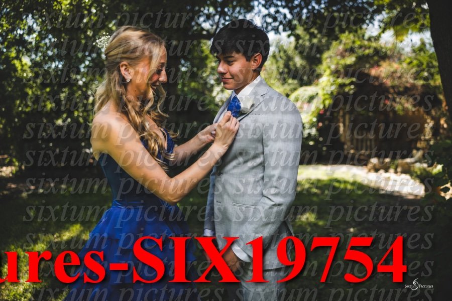 Sixtum Pictures-SIX19754.jpeg