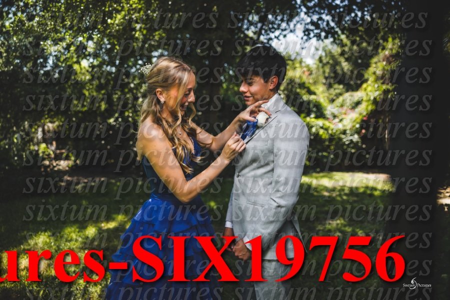 Sixtum Pictures-SIX19756.jpeg