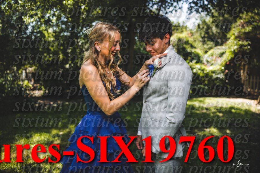 Sixtum Pictures-SIX19760.jpeg