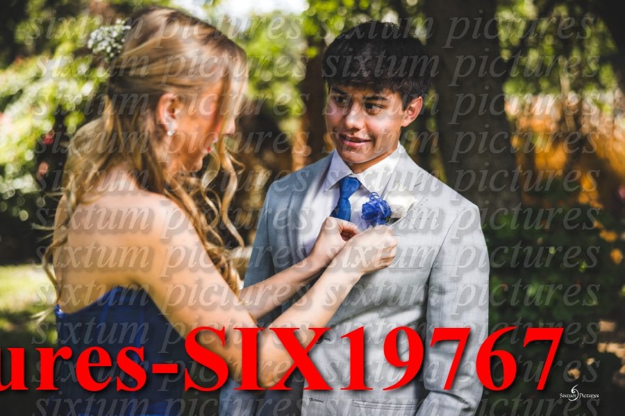 Sixtum Pictures-SIX19767.jpeg
