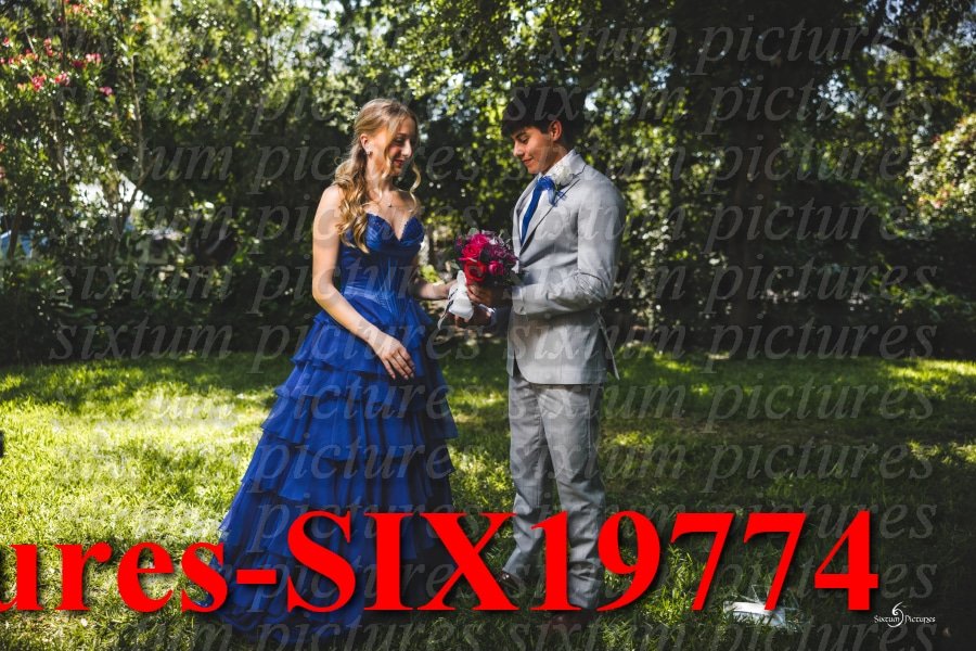 Sixtum Pictures-SIX19774.jpeg