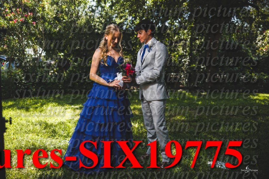 Sixtum Pictures-SIX19775.jpeg