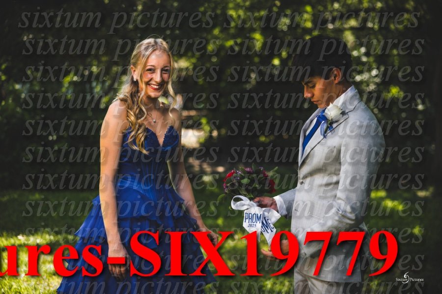 Sixtum Pictures-SIX19779.jpeg
