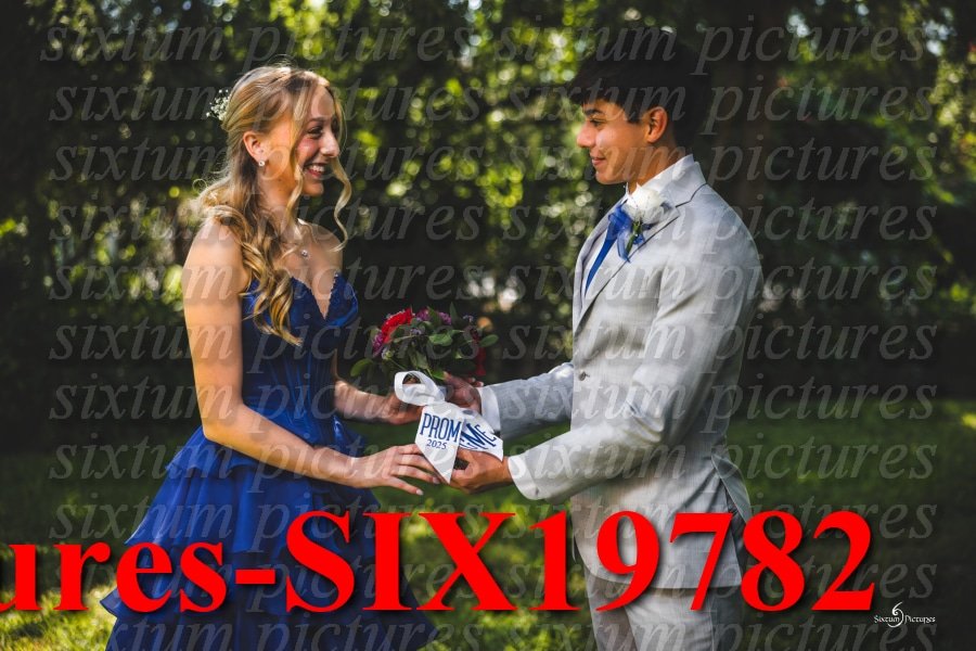 Sixtum Pictures-SIX19782.jpeg
