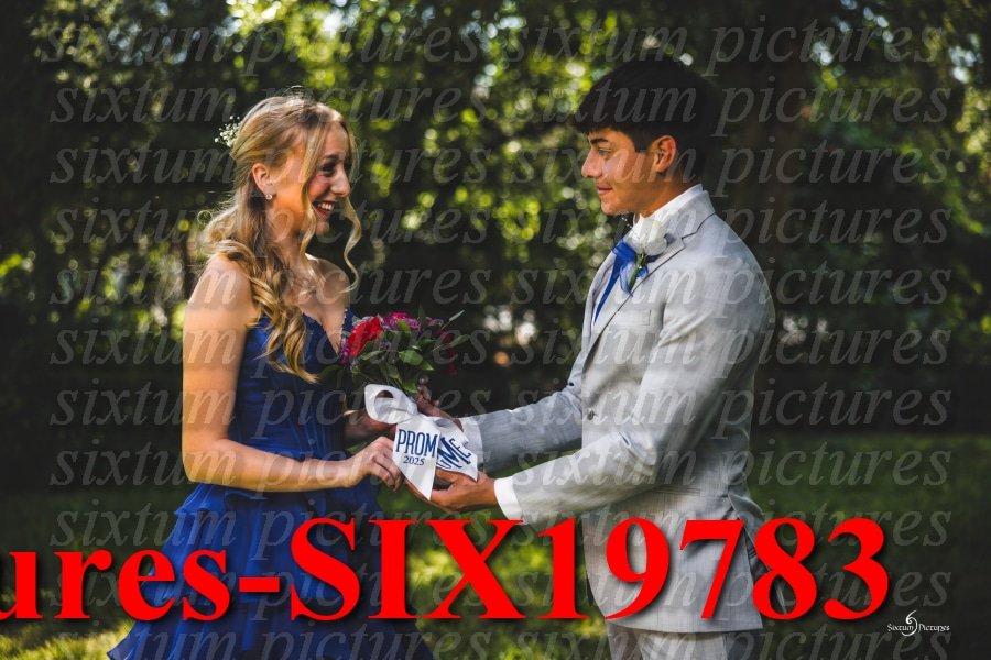 Sixtum Pictures-SIX19783.jpeg