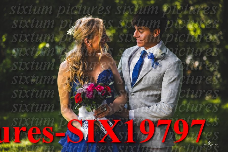 Sixtum Pictures-SIX19797.jpeg