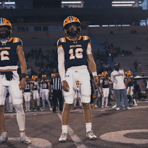 mccoy gif.gif