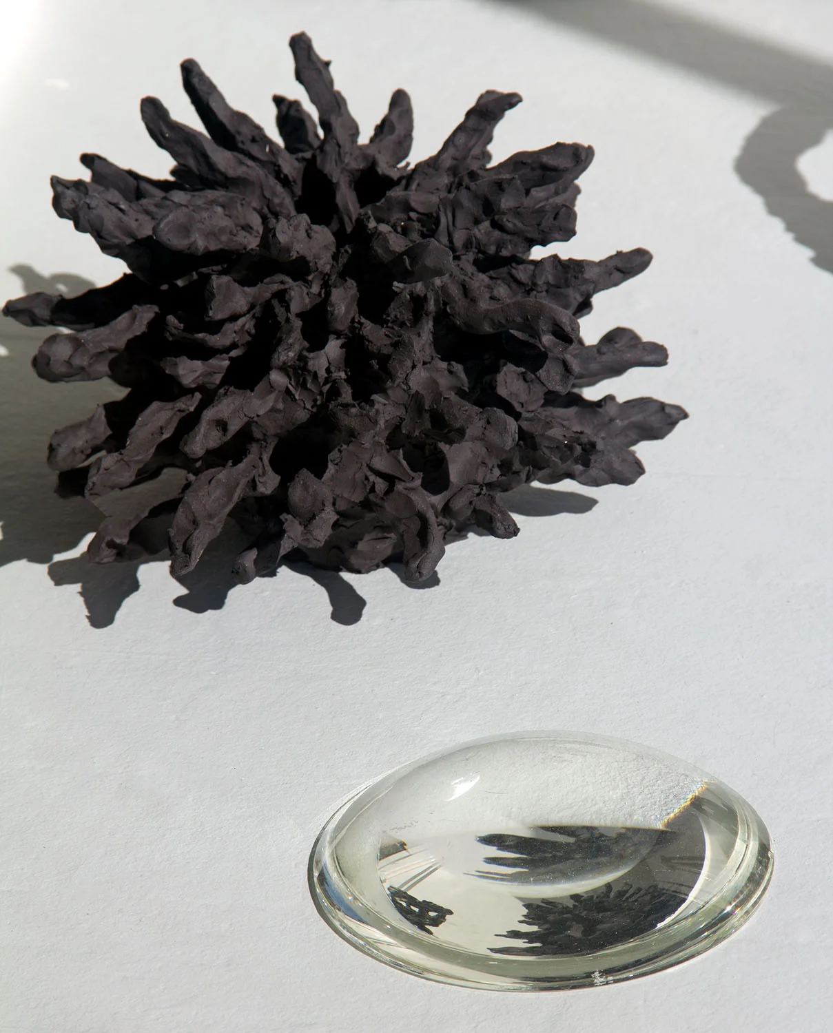 Phantom Disguised as a Hairy Vase (with reflection) , 2015, ceramic, convex glass lens, 6.75 x 10 x 10 inches