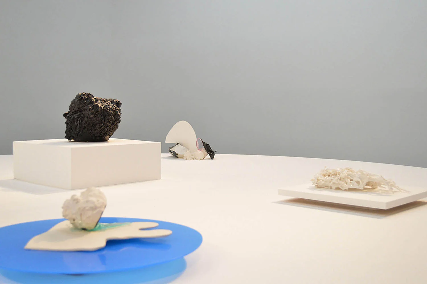   Echo  exhibition, (installation detail), Walter Maciel Gallery, 2014 