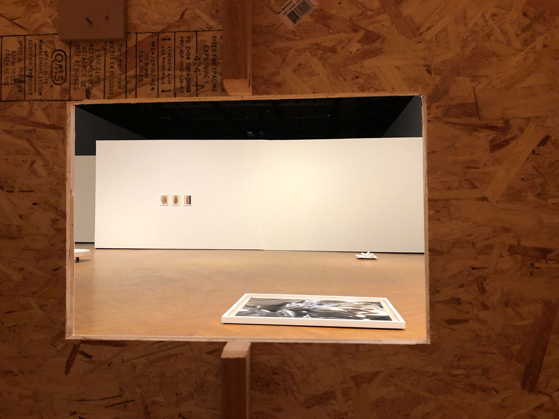   Into The Matter , installation view through altered moveable museum wall, 2018 