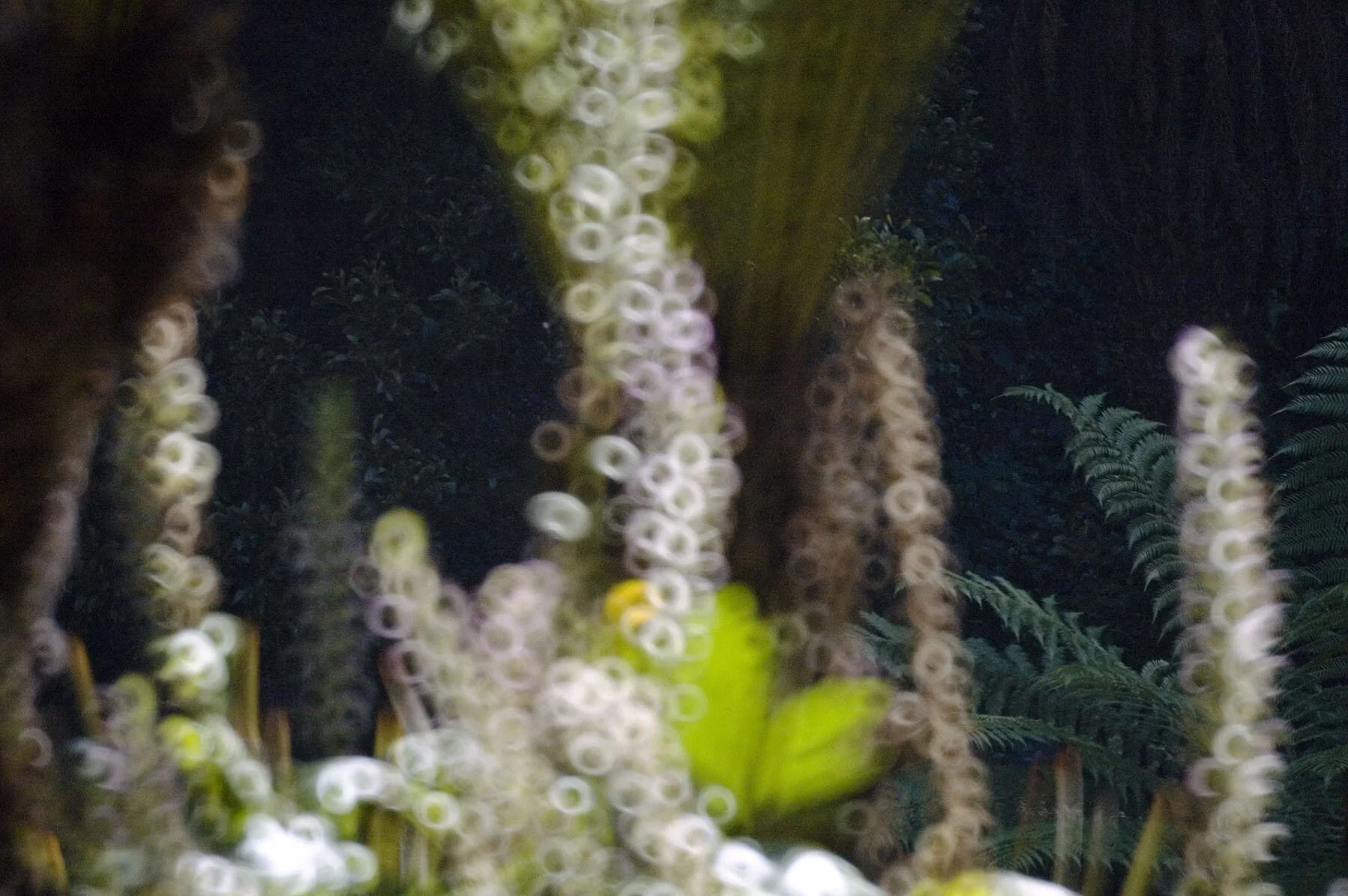   Untitled , 2007, archival pigment print on paper, 24 x 34 inches 
