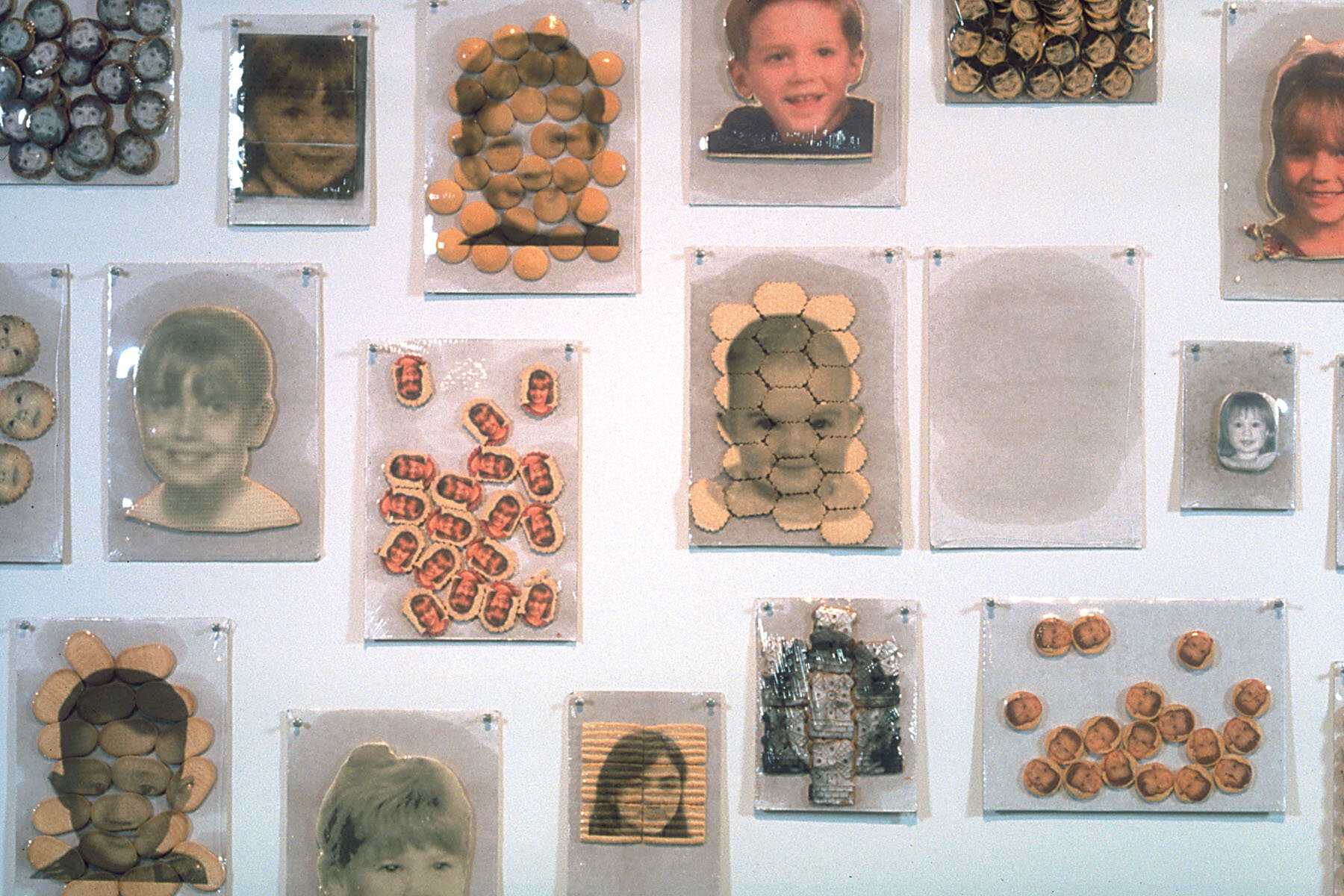   Untitled (cookies) , installation detail, 1997, food coloring, ink, cookies, cardboard, shrink wrap, push pins, 38 x 60 x 1 inches 