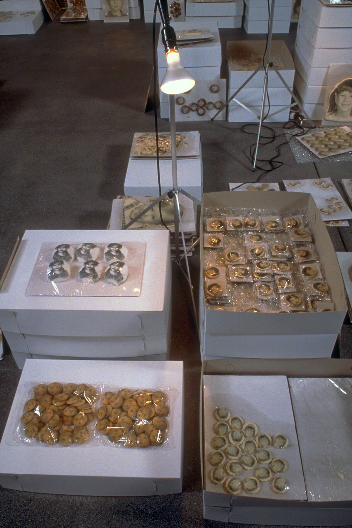   Untitled (cookies) , installation detail, 1998, food coloring, ink, cookies, cardboard sheets and boxes, shrink wrap, push pins, clamp lights, aluminum stands, extension cords, 53 x 72 x 153 inches 
