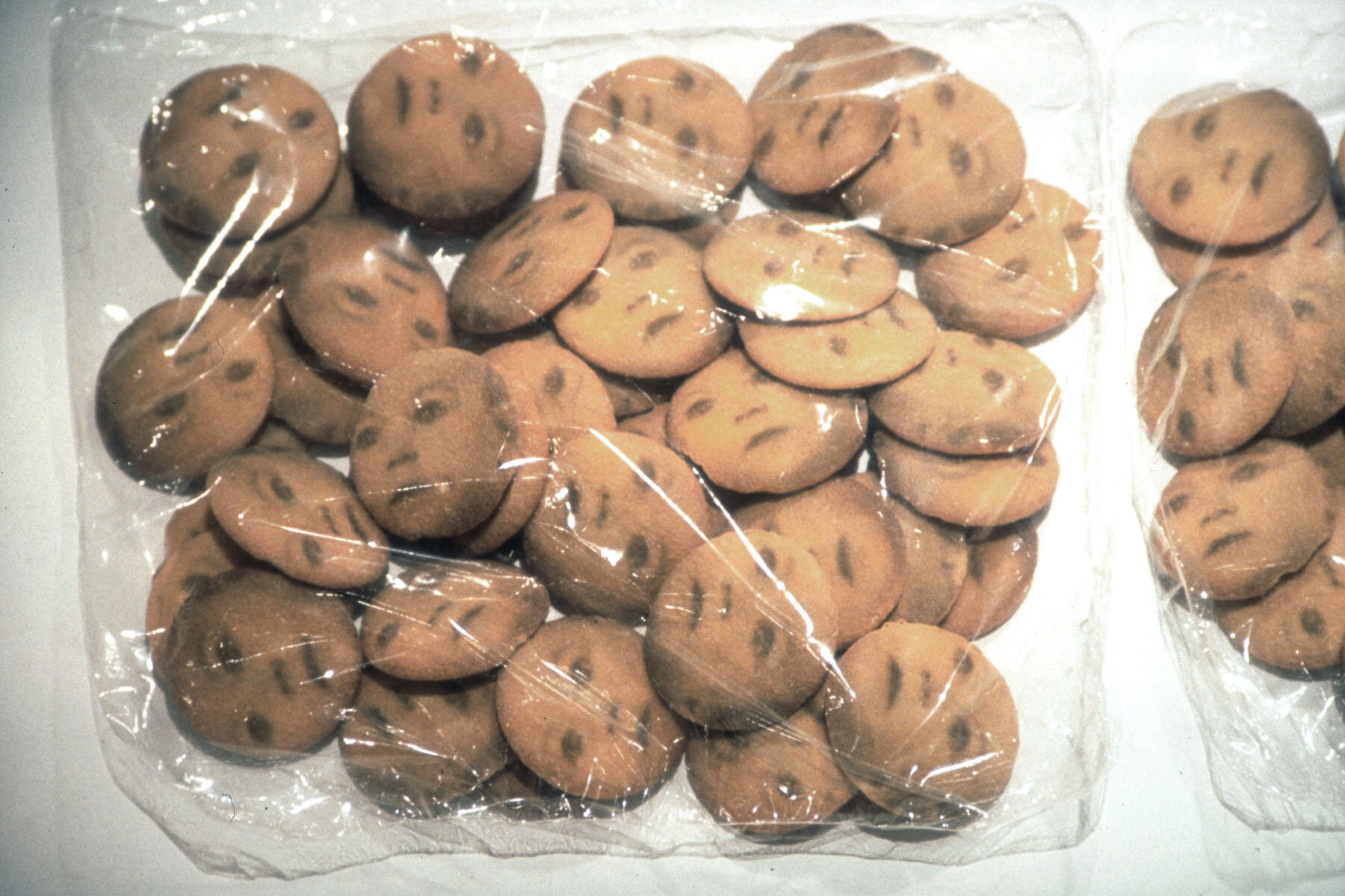  Untitled (nillas) , 1997, black food coloring on cookies, shrink wrap, 18 x 9 x 2.5 inches 