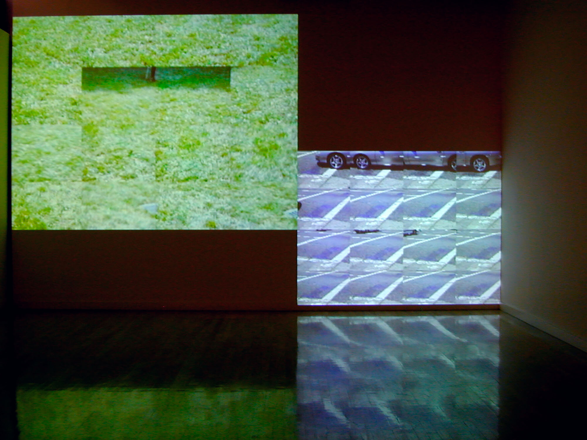   Fields , 2001, 45-minute two channel movie projection, silent, 216 x 131 inches   