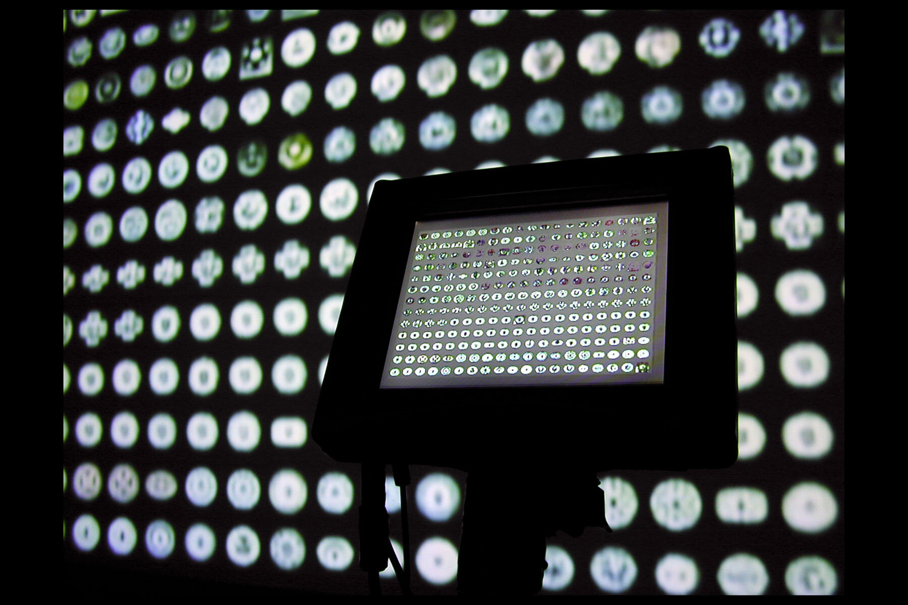   The Collection (descending) , installation detail, 1999, 5-inch LCD monitor on stand, projected movie 